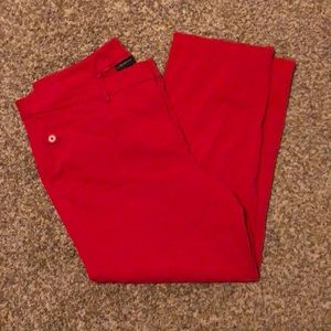 Lane Bryant size 26 Regular boot leg pants